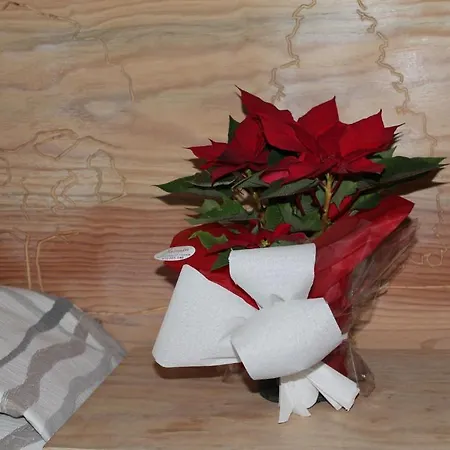 بيت ضيافة Lagunak زاروتز